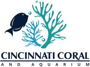 Cincinnati Coral and Aquarium