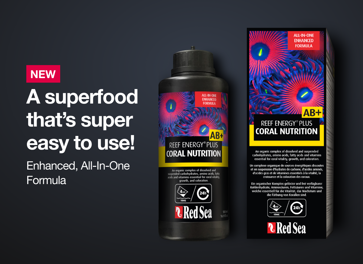 Red Sea Reef Energy AB+ Plus Coral Nutrition